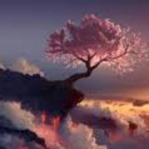 Meet your Posher, Ella